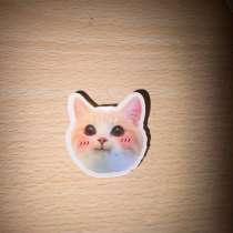 Значок котик, в Челябинске