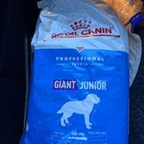 Royal Canin Jiant junior, в Новосибирске