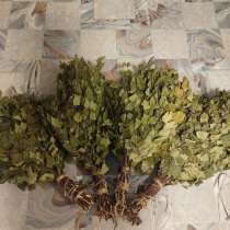 веники, в Вологде