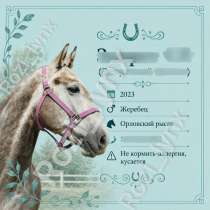 Конные таблички на денник лошади?, в Москве