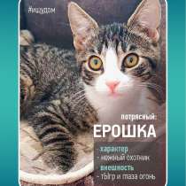 Ерошка - крошка в дар, в г.Минск