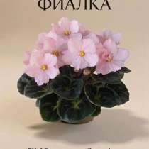 Фиалка ЕК Абрикосовый шифон Детка, в Отрадном