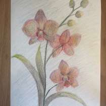 Картина орхидея, ручная работа., в Серпухове