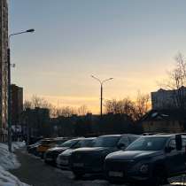 Выгул собак в Лобне, в Лобне
