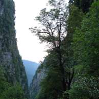 Алексей, фото